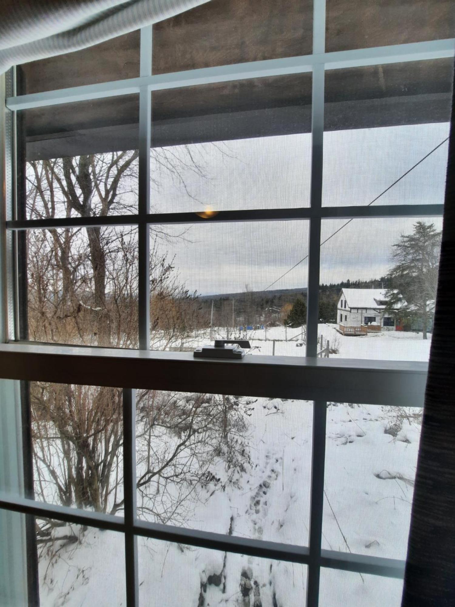 Schweizer Guest house