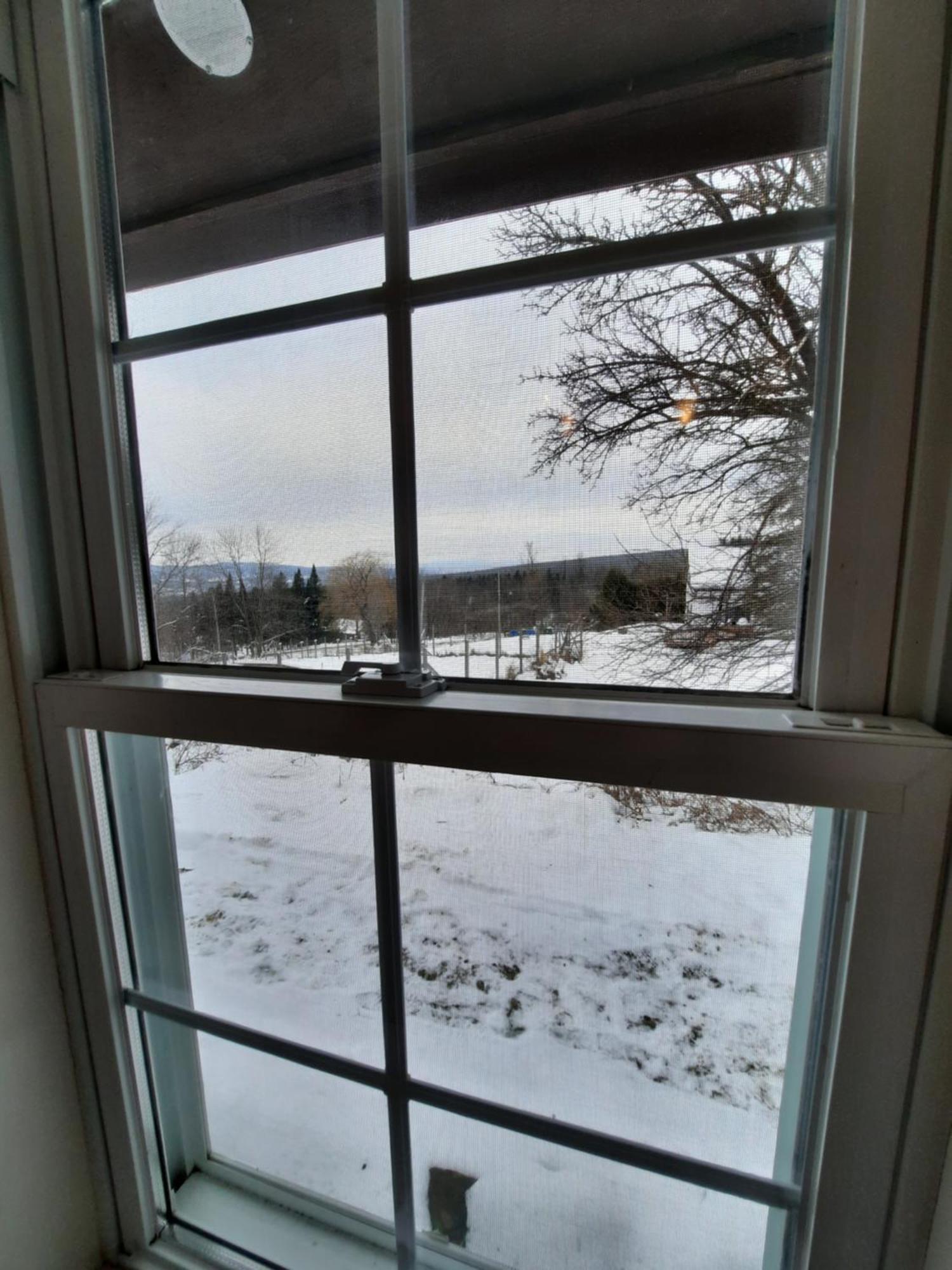Guest house Schweizer